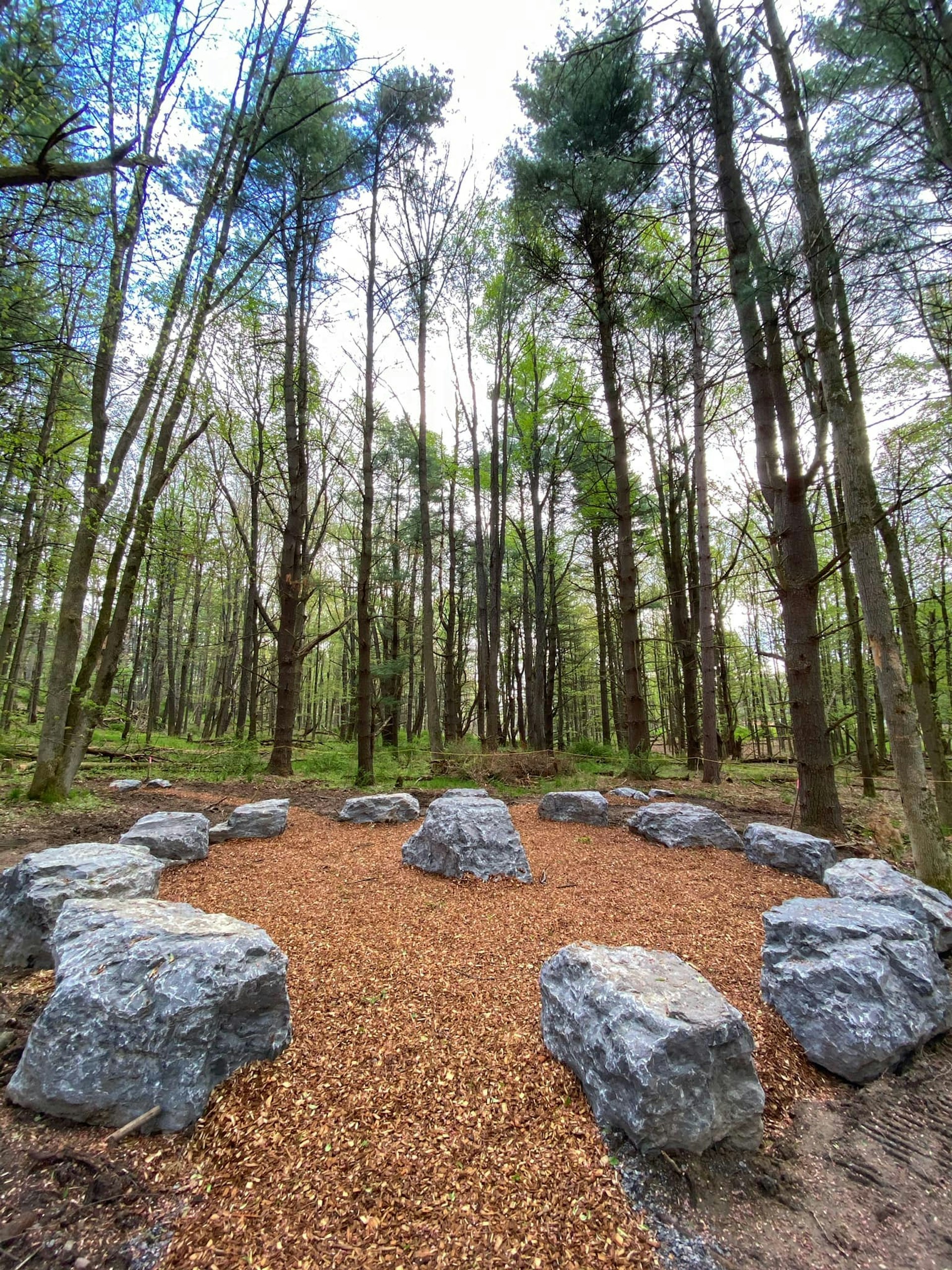 Autism Nature Trail in upstate New York aims to make the outdoors more